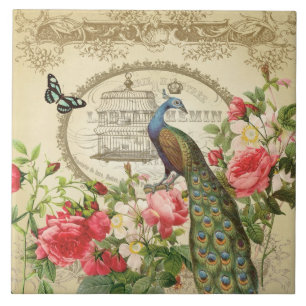 Vintage French Shabby Chic Peacock Tile