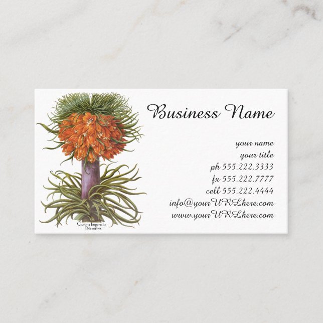 Vintage Fritillaria Flowers by Basilius Besler Business Card (Front)