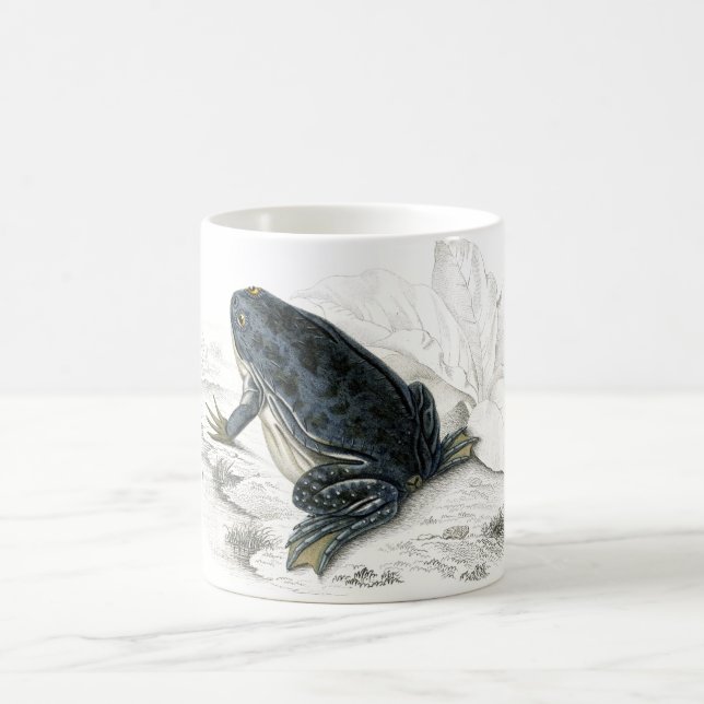 Vintage Frog Coffee Mug (Center)