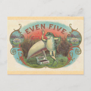 Vintage Frog Postcard