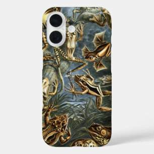 Vintage Frogs and Toads Batrachia by Ernst Haeckel iPhone 16 Case