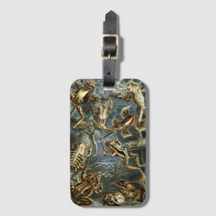 Vintage Frogs and Toads Batrachia by Ernst Haeckel Luggage Tag