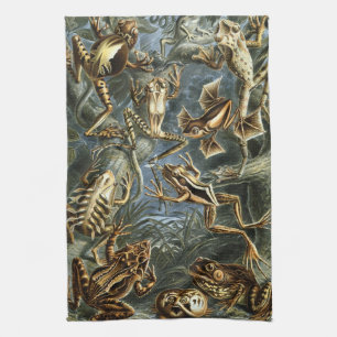 Vintage Frogs and Toads Batrachia by Ernst Haeckel Tea Towel