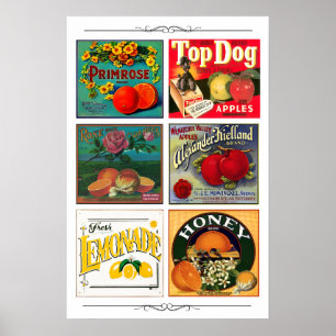 Vintage fruit advertisement labels poster