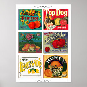 Vintage fruit advertisement labels poster