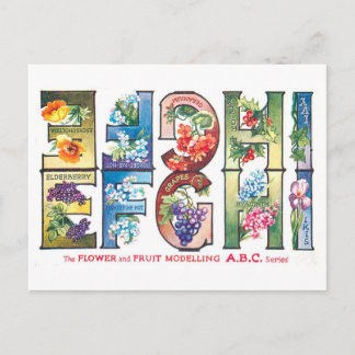 Vintage Fruit and Flower Alphabet E-I Postcard