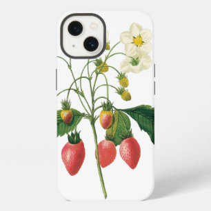 Vintage Fruit Berries Food Strawberries by Redoute iPhone 13 Case