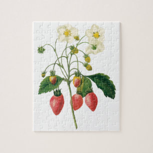Vintage Fruit Berries Food Strawberries by Redoute Jigsaw Puzzle