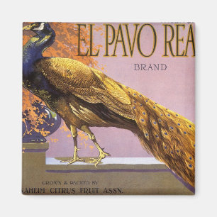 Vintage Fruit Crate Label Art El Pavo Peacock Bird Magnet