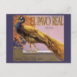 Vintage Fruit Crate Label Art El Pavo Peacock Bird Postcard