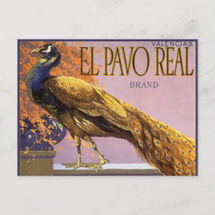 Vintage Fruit Crate Label Art El Pavo Peacock Bird Postcard