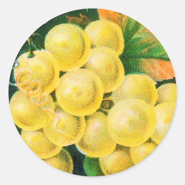 Vintage Fruit Crate Label Art, Muscat Grapes (Front)