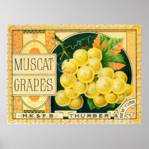 Vintage Fruit Crate Label Art, Muscat Grapes Poster
