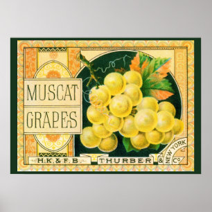 Vintage Fruit Crate Label Art, Muscat Grapes Poster