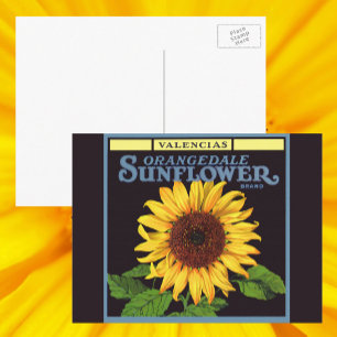 Vintage Fruit Crate Label Art Orangedale Sunflower Postcard