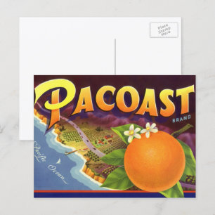 Vintage Fruit Crate Label Art, Pacoast Oranges Postcard