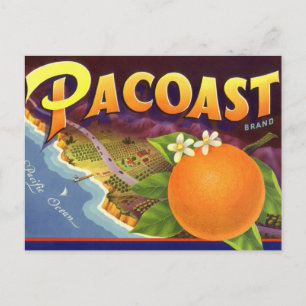 Vintage Fruit Crate Label Art, Pacoast Oranges Postcard