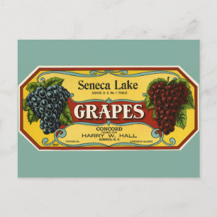 Vintage Fruit Crate Label Art, Seneca Lake Grapes Postcard
