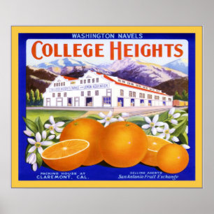 Vintage Fruit Crate Label Poster