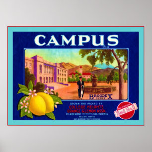 Vintage Fruit Crate Label Poster