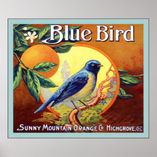 Vintage Fruit Crate Label Poster