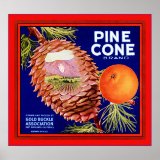 Vintage Fruit Crate Label Poster
