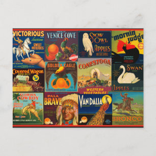 Vintage Fruit Crate Labels Postcard