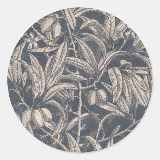 Vintage Fruit & Floral I Classic Round Sticker (Front)