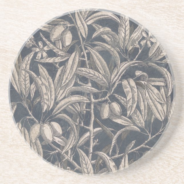 Vintage Fruit & Floral I Coaster (Front)