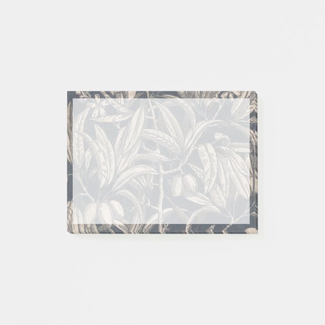 Vintage Fruit & Floral I Post-it Notes (Front)