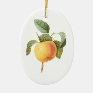 Vintage Fruit Food, Calville Apple by Redoute Ceramic Tree Decoration