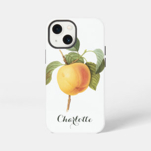 Vintage Fruit Food, Calville Apple by Redoute iPhone 13 Mini Case