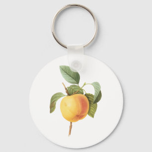 Vintage Fruit Food, Calville Apple by Redoute Key Ring