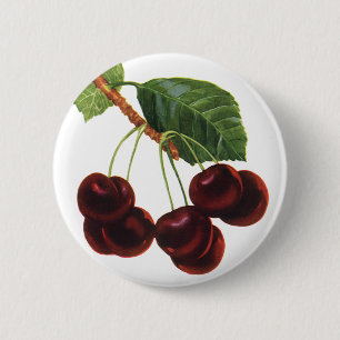 Vintage Fruit Foods, Ripe Cherries from a Tree 6 Cm Round Badge