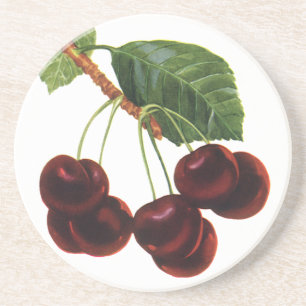 Vintage Fruit Foods, Ripe Cherries from a Tree Coaster