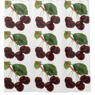 Vintage Fruit Foods, Ripe Cherries from a Tree Shower Curtain