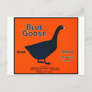 Vintage Fruit Label Postcard