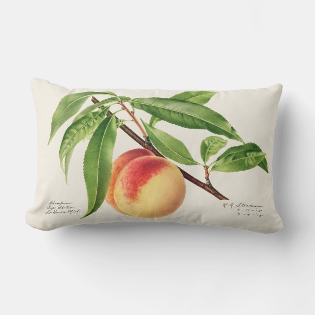 Vintage Fruit Lumbar Cushion (Front)
