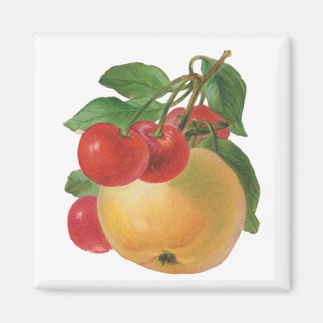 Vintage Fruit Magnet (Front)