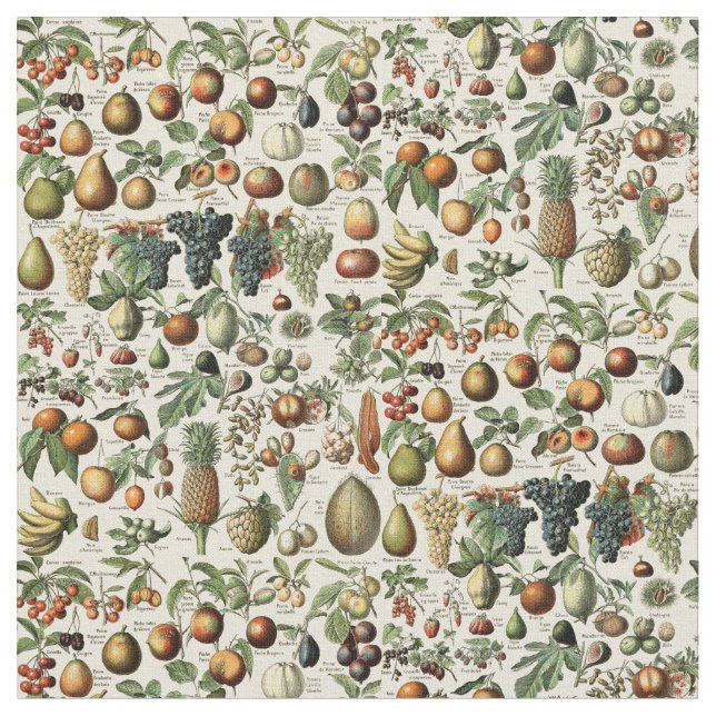 Vintage Fruit Pattern by Adolphe Millot Fabric (Close Up)