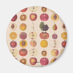 Vintage Fruit Pattern Magnet