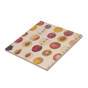 Vintage Fruit Pattern Tile