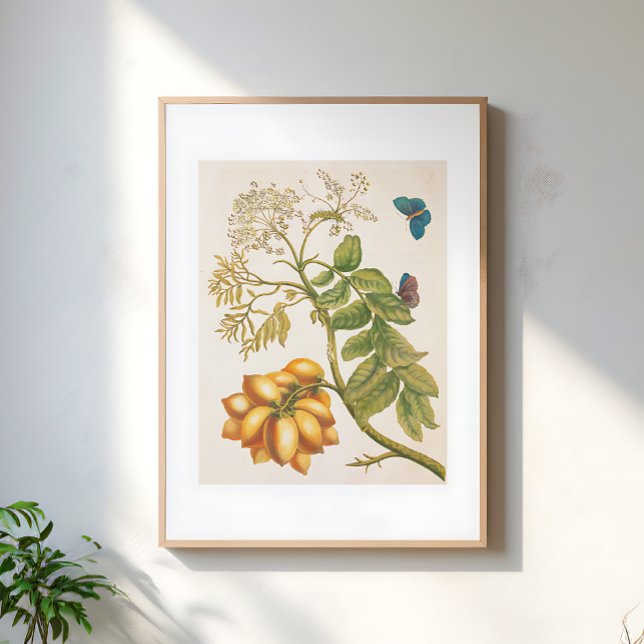 Vintage Fruit Plant With Butterflies Art Poster (Creator Uploaded)