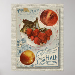 Vintage Fruit Seed Packet from the late 1800's Poster