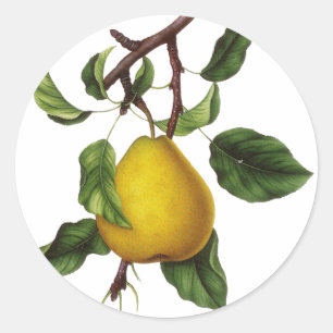 Vintage Fruit Stickers