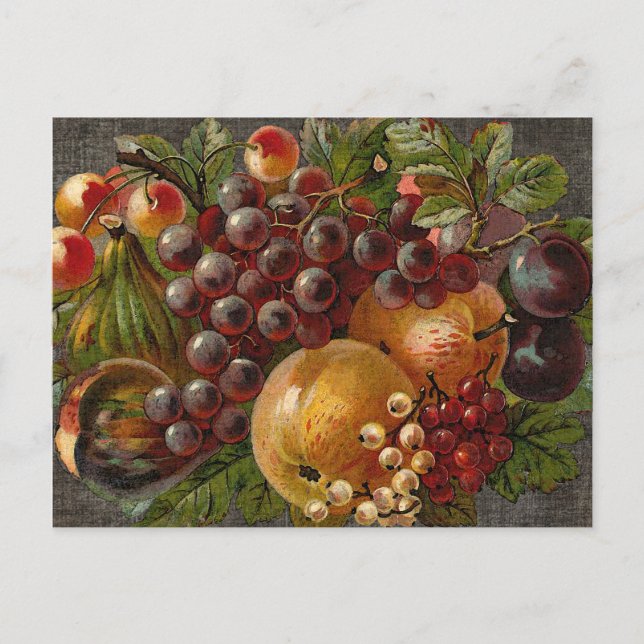 Vintage Fruits Harvest Thanksgiving Postcard (Front)