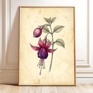 Vintage Fuchsia Botanical Canvas Art Print