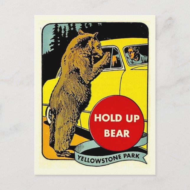 Vintage Fun Yellowstone Park Postcard (Front)