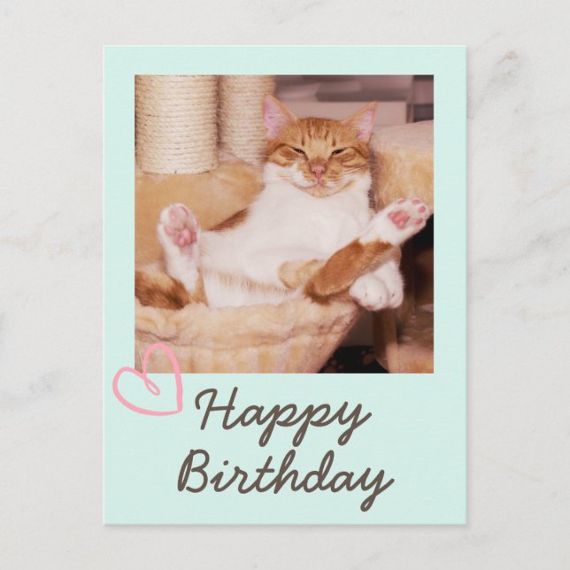 Vintage Funny Cat and Happy Birthday Postcard (Front)