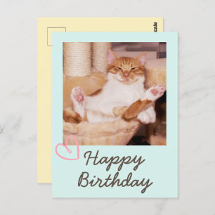 Vintage Funny Cat and Happy Birthday Postcard
